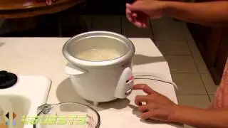 KITCHEN GOURMET RICE COOKER