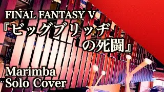 【FFV】ビッグブリッヂの死闘をマリンバで完全再現！｜Gilgamesh Battle Theme【Final Fantasy V】