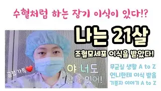 조혈모세포 이식 생각하는 사람 무조건 봐야함, 조혈모세포 이식 과정 A to Z (이식 1주년 기념 영상)