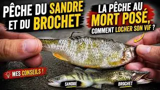 La p&ecirc;che au mort pos&eacute;, comment locher son vif? ( Brochet, sandre, silure )