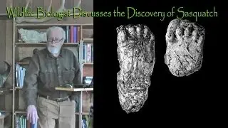 Sasquatch illustrated lecture- Part 2: Bigfoot Tracks and Track Casts
