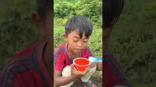 Survival Skills: SMART idea and USEFUL in Forest #bushcraft #camping #out