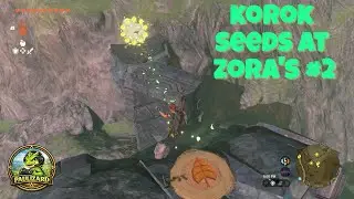Korok Seeds at Zora's 2
