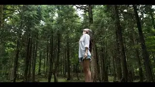 How forest bathing boosts your immunity?