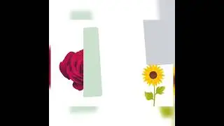 #flowervocabulary #rose #flowers #flashfusion45 #youtube