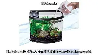 Aqueon LED MiniBow 5-Gallon Aquarium Review: Is It Worth the Investment for Fish Keepers?