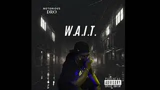 Notorious Dro - F.T.N (3 5) (Prod. by Snow Made It)