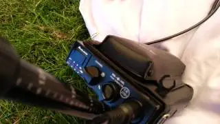 Ct1332 was mobile in local field