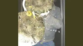B&oslash;k