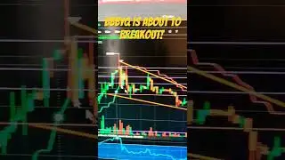 BBBYQ Stock Is About To Breakout Here Is Why!