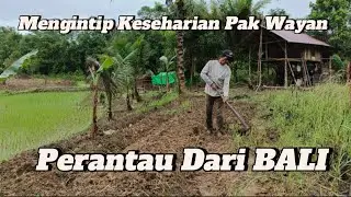 MENGINTIP KESEHARIAN PAK WAYAN PERANTAU DARI BALI