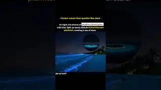 The Bioluminescent Waves of Vaadhoo Island.. #shorts #viralvideo #youtubeshorts #nature #sea