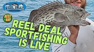 Reel Deal Sportfishing is live!