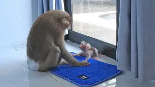 Smart Newborn Baby Listening Mommy Luna Talk To Him