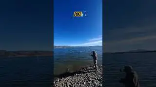 🎣Bank fishing -Cochiti Lake, New Mexico #pike #exploringnewmexico #fishing #newmexicofishing #nature