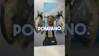 Fish Talk Friday! Subject: Pompano 🐟 If you know something that I didn&rsquo;t say, comment below! 👇