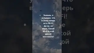№4 Свежий анекдот про СТАЛКЕРА и Wi-Fi в Зоне отчуждения. STALKER
