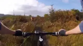 Nire Valley Drop 2016
