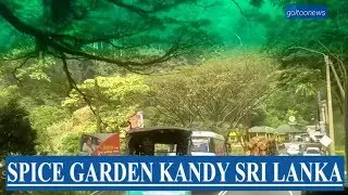 Best Tourist places of Sri Lanka Spice Gardens in Kandy Sri Lanka Kandy travel guide