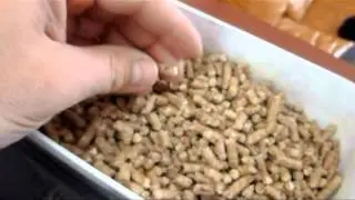 test pellet