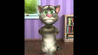 Talking Tom With Full Gali