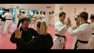 Robert Sensei &bull; Ukemi & Impact Conditioning 3 &bull; JUKIDO JUJITSU (9-1-21)