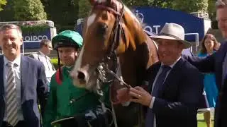 Older Flat Horse Award 2025 - Calandagan
