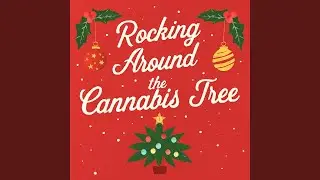 Rocking around the cannabis Tree