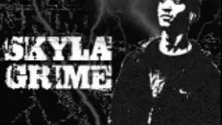 NO TIME 2 WASTE - SKYLA GRIME FEAT P.MONEY OGZ  (2009 EXCLUSIVE)