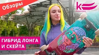 Обзор лонгборда Landyachtz ATVX Perfecto - Raccoon