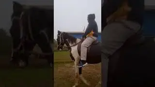 HORSE RIDING IN CTC, FARMS ,PATNA...ANZAR SB..CMS OFFICER