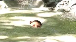 Woman sinks in quicksand. (Part 1 because other videos were taken down.)