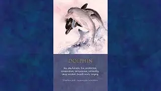 Spirit Meaning of Dolphin
