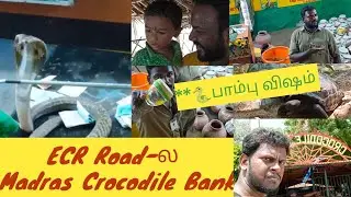 Snake Venom Extraction at Crocodile Bank | madras crocodile bank | life of hari