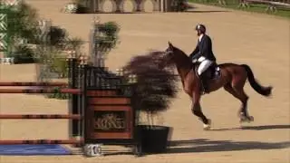 Victorio & Adam Prudent - Welcome Stake 4* Upperville 1.50m/1.55m