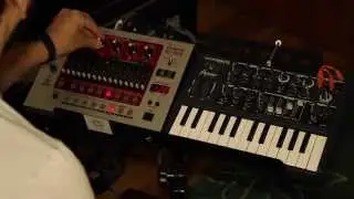 Microbrute + Roland EF-303 (Reverb)