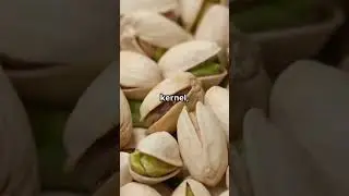 Spotting Premium vs Low-Quality Nuts & Seeds!
