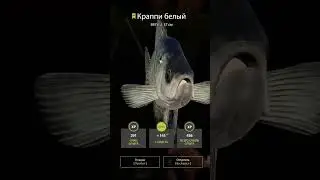 Сколько троф краппи белый? #carpfishing #fishing #game #рыбалка #рыбалканафидер #рыбалканаозере
