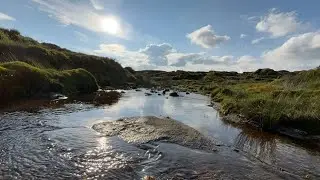 Derwent Watershed Hike - Part 1