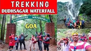 Don't do This Mistake During Dudhsagar Trek | New Rules | Dudhsagar Waterfall Trekking | Goa Vlog