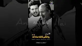28 RAJAB STATUS ZAKIR AMEER HUSSAIN JAFFRI #28rajab #duet #majlis #shorts