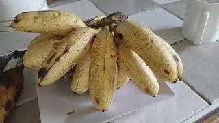 Quick banana bread. Don't throw away your ripe fig.