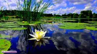 Sleep Music | Silver Blue Light | Relaxation Music