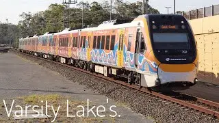 An Afternoon at Varsity Lakes, QLD.