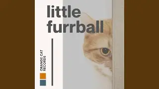 Featherlike Feline