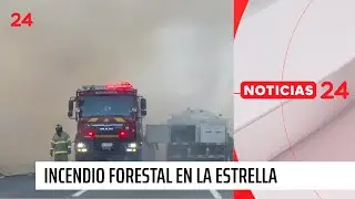 Reportan viviendas quemadas: incendio forestal descontrolado en La Estrella