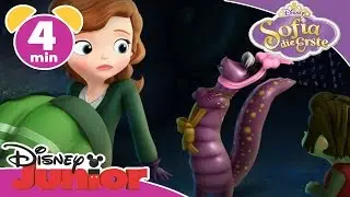 Ärger mit einer Fliegel - Sofia die Erste | Disney Junior Kurzgeschichten