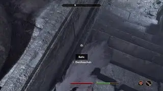 The Elder Scrolls IV: Oblivion Remastered Bretone und Nachtmagier