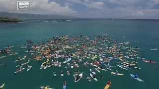 Board Stories v14#04
