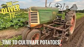 Time To Cultivate The Potatoes!